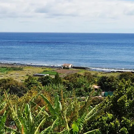 Guacimara *